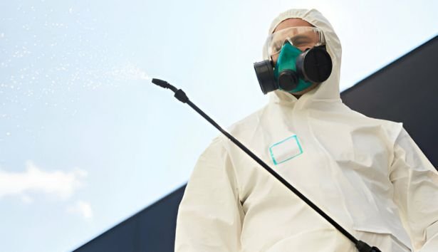 Pest Control Ballarat